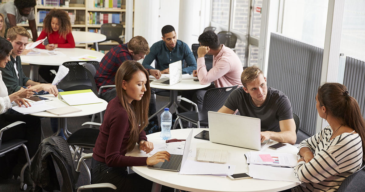 Study Crew Study Abroad Consultant In Udaipur