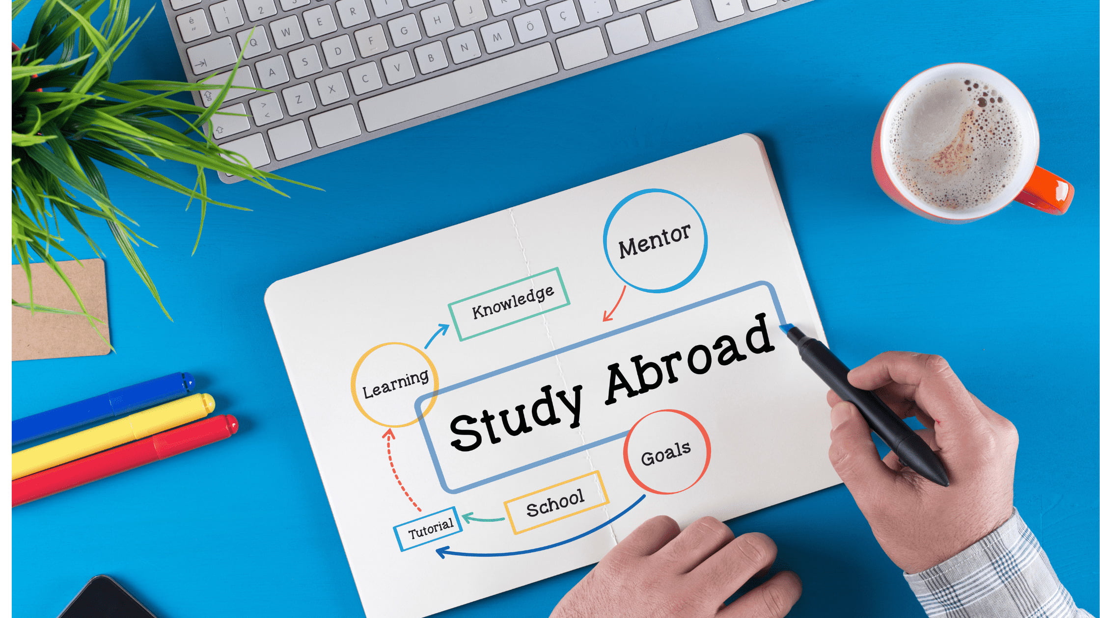 Benefits of study in New zealand