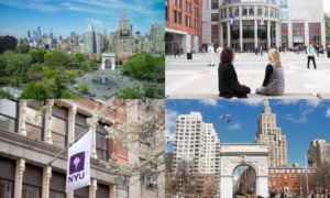 New York University